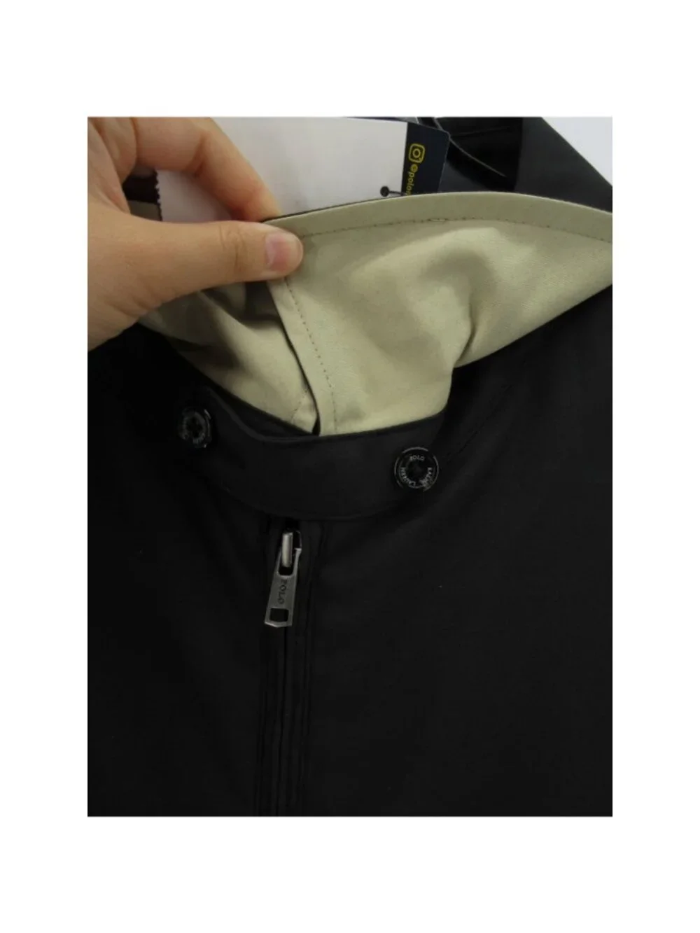 Polo Ralph Lauren brand polo